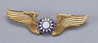 藏品(空軍章)的圖片