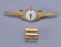 藏品(空軍章(空軍參等宣威獎章))的圖片