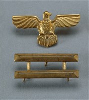 藏品(空軍章)的圖片