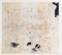 藏品(宋拓石鼓文拓本)的圖片