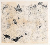 藏品(宋拓石鼓文拓本)的圖片