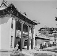 藏品(國立歷史博物館)的圖片