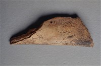 藏品(甲骨殘片)的圖片