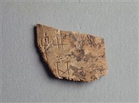 藏品(甲骨殘片)的圖片