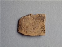 藏品(甲骨殘片)的圖片