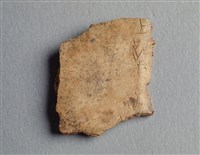 藏品(甲骨殘片)的圖片