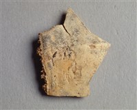 藏品(甲骨殘片)的圖片