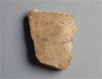 藏品(甲骨殘片)的圖片