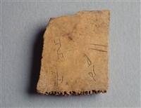 藏品(甲骨殘片)的圖片