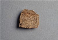 藏品(甲骨殘片)的圖片