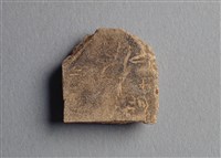 藏品(甲骨殘片)的圖片