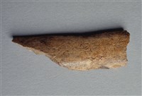 藏品(甲骨殘片)的圖片