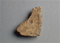 藏品(甲骨殘片)的圖片