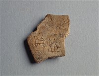 藏品(甲骨殘片)的圖片