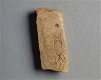 藏品(甲骨殘片)的圖片