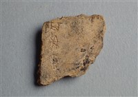 藏品(甲骨殘片)的圖片