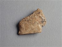 藏品(甲骨殘片)的圖片