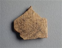 藏品(甲骨殘片)的圖片