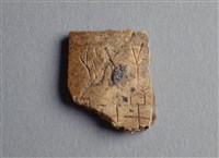 藏品(甲骨殘片)的圖片