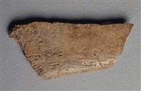 藏品(甲骨殘片)的圖片