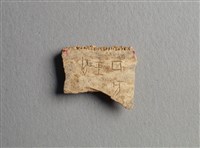 藏品(甲骨殘片)的圖片