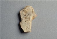 藏品(甲骨殘片)的圖片