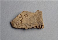 藏品(甲骨殘片)的圖片