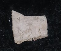 藏品(甲骨殘片)的圖片