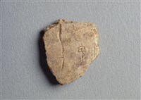 藏品(甲骨殘片)的圖片