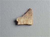 藏品(甲骨殘片)的圖片