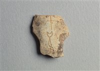 藏品(甲骨殘片)的圖片