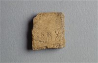 藏品(甲骨殘片)的圖片