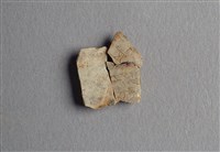 藏品(甲骨殘片)的圖片