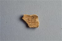 藏品(甲骨殘片)的圖片