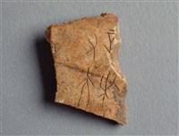 藏品(甲骨殘片)的圖片