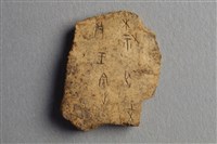 藏品(甲骨殘片)的圖片