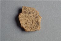 藏品(甲骨殘片)的圖片