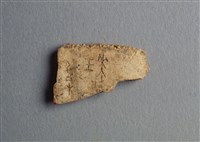 藏品(甲骨殘片)的圖片