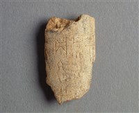 藏品(甲骨殘片)的圖片