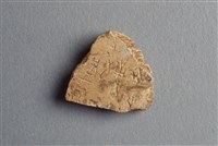 藏品(甲骨殘片)的圖片