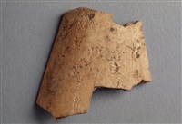 藏品(甲骨殘片)的圖片