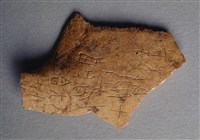 藏品(甲骨殘片)的圖片