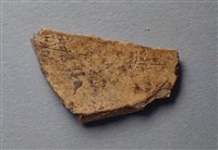 藏品(甲骨殘片)的圖片