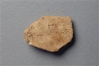 藏品(甲骨殘片)的圖片