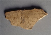 藏品(甲骨殘片)的圖片