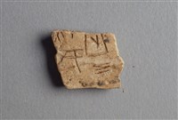 藏品(甲骨殘片)的圖片