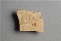 藏品(甲骨殘片)的圖片