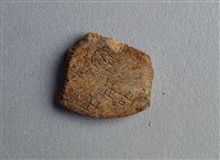 藏品(甲骨殘片)的圖片