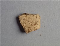 藏品(甲骨殘片)的圖片