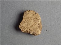 藏品(甲骨殘片)的圖片